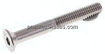 Senkschraube ISO10642(DIN7991), M 6x50, Edelstahl A2