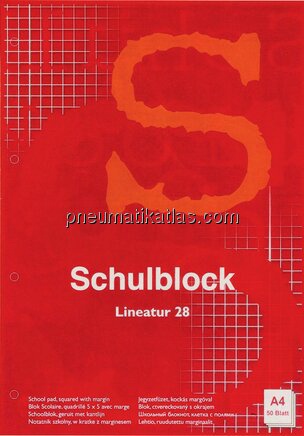 Schulblöcke, DIN A4, Lin 28 kariert, 10er Pack