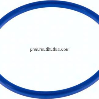 Dichtung (Milchgewinde) DN 100, NBR (blau), 104x114x6mm