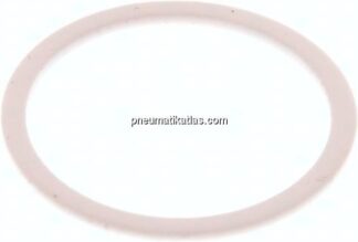 Ersatzdichtung (R / Rp 1") 46,0x39,0x1,5, PTFE