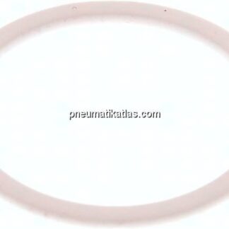 Ersatzdichtung (R / Rp 1") 46,0x39,0x1,5, PTFE