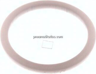 Ersatzdichtung (R / Rp 1/2") 30,5x25,0x1,5, PTFE
