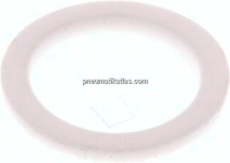 Ersatzdichtung (R / Rp 1/4") 21,5x16,0x1,5, PTFE