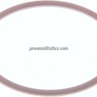 Ersatzdichtung (R / Rp 2") 76,0x68,0x2,0, PTFE
