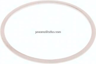 Ersatzdichtung (R / Rp 3") 108,5x97,0x2,0, PTFE