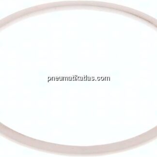 Ersatzdichtung (R / Rp 3") 108,5x97,0x2,0, PTFE