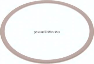 Ersatzdichtung (R / Rp 4") 138,0x125,0x2,0, PTFE
