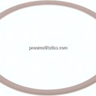 Ersatzdichtung (R / Rp 4") 138,0x125,0x2,0, PTFE