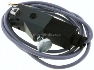 ATEX-Druckschalter 20 - 100 bar (Wechsler), G 1/4" (IG)