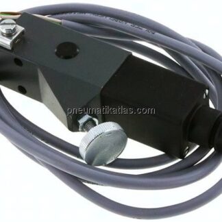 ATEX-Druckschalter 20 - 100 bar (Wechsler), G 1/4" (IG)