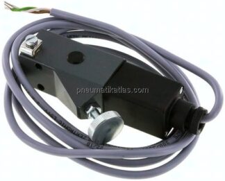 ATEX-Druckschalter 100 - 400 bar (Wechsler), G 1/4" (IG)