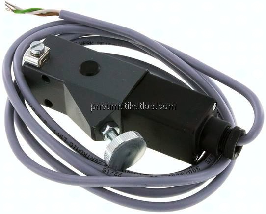ATEX-Druckschalter 100 - 400 bar (Wechsler), G 1/4" (IG)