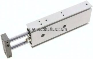 Doppelkolbenzylinder, Kolben 20mm, Hub 100mm