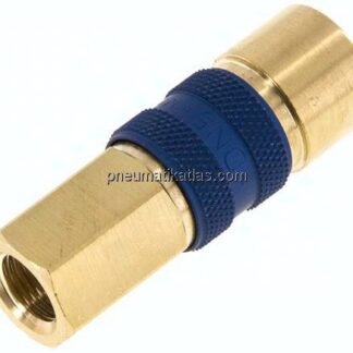 Kupplungsdose (NW5) G 1/8"(IG), blau, Sechseck SW10