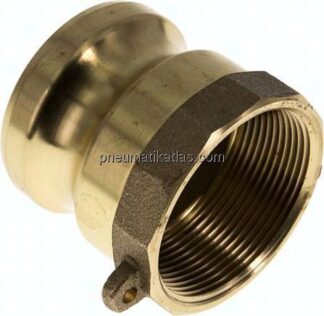 Kamlock-Stecker (A) Rp 2"(IG), Messing