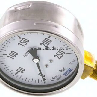Manometer senkrecht (CrNi/Ms), 100mm, 0 - 250 bar