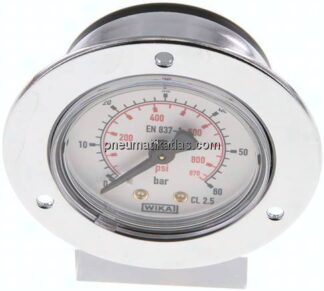 Einbaumanometer (CrNi/Ms), Frontring, 50mm, 0 - 60 bar