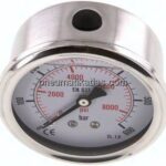 Glycerin-Manometer waagerecht (CrNi/Ms),63mm, 0 - 600bar