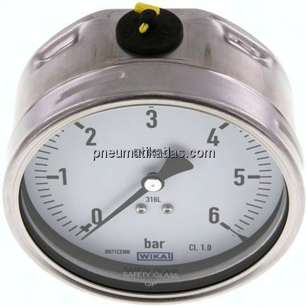 Chemie-Manometer waagerecht, 100mm, 0 - 6 bar