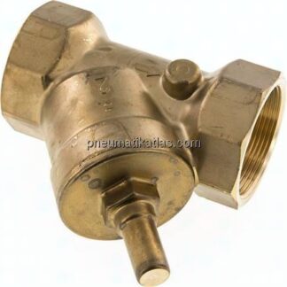 Schrägsitz-Rückschlagventil, Rp 2", Standard, Messing