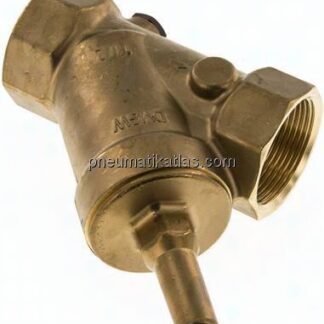 Schrägsitz-Rückschlagventil, Rp 2", FKM-Dichtung, Messing