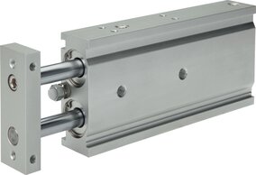 Doppelkolbenzylinder mit Führung|EXSM